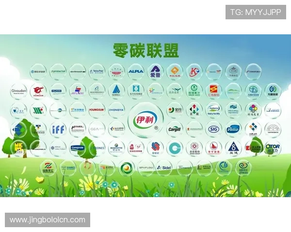 365速发国际加强与国际合作伙伴的战略合作推动行业共同发展