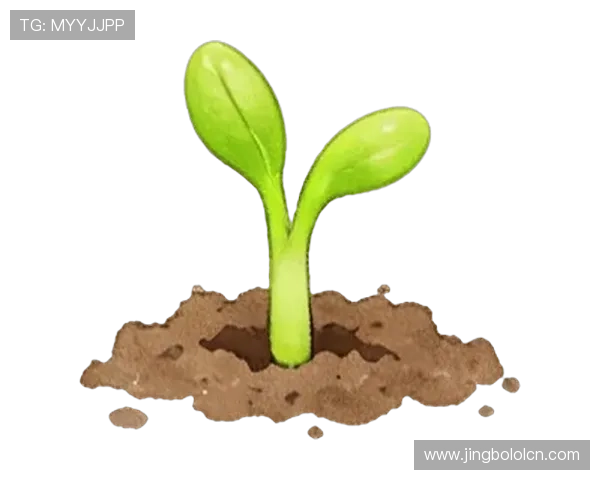 vsport在国内外市场同步推出环保材料运动产品，践行绿色运动理念