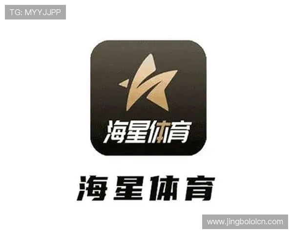 海星体育官网平台安全保障措施与隐私政策介绍保障玩家个人信息安全